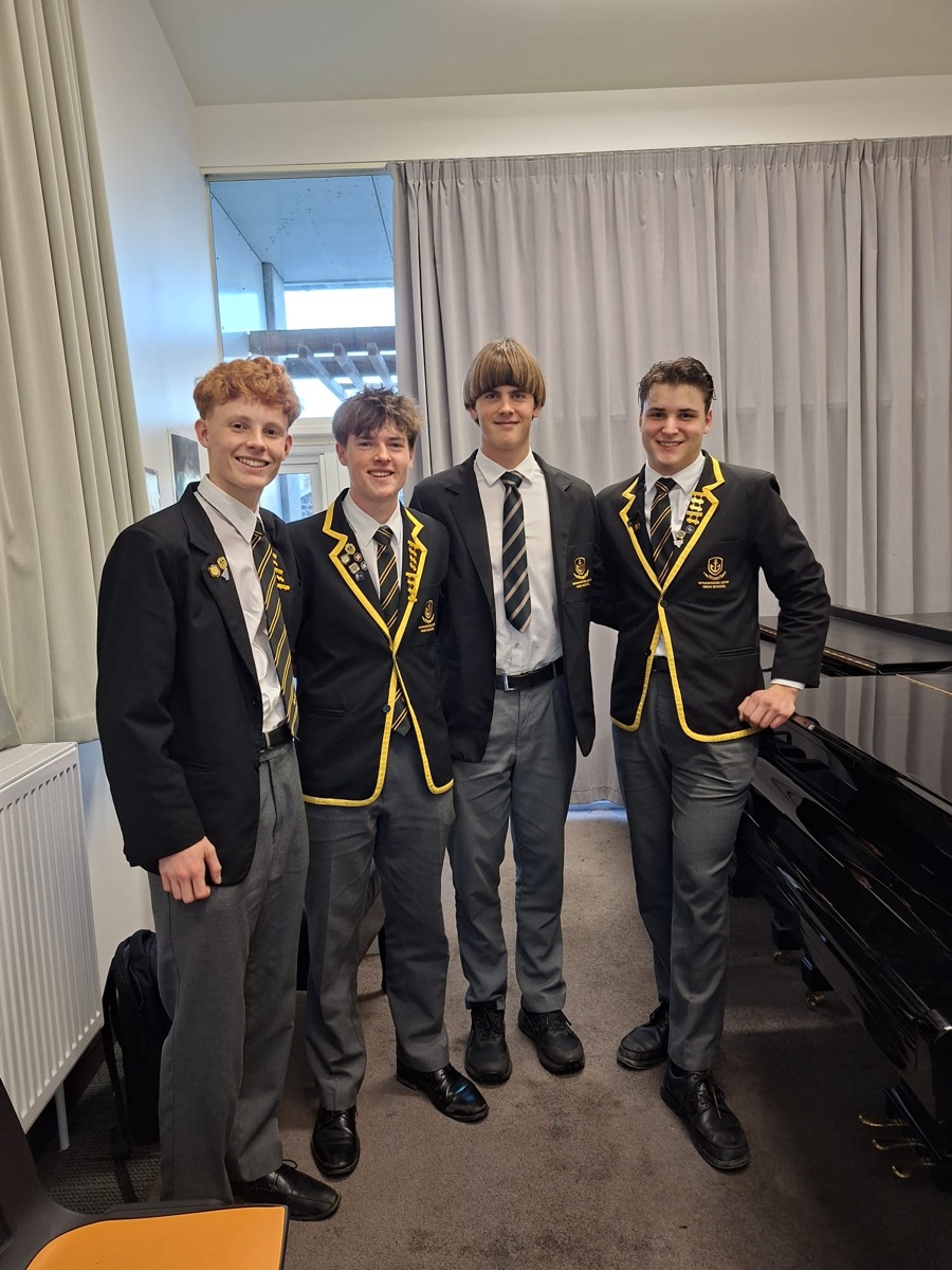 Harper performing chamber music
